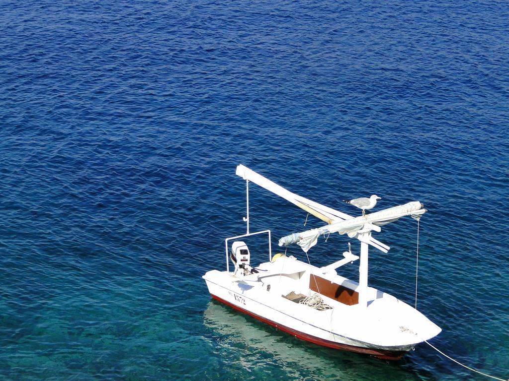 Apartment Tranquillo Vela Luka Zewnętrze zdjęcie